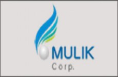 Mulik Corp