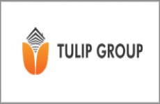 Tulip Group