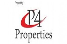 P4 Properties